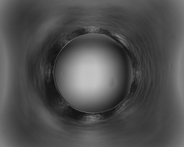 X0000087750525200705071115