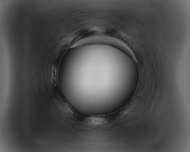 X0000087750528200705071115