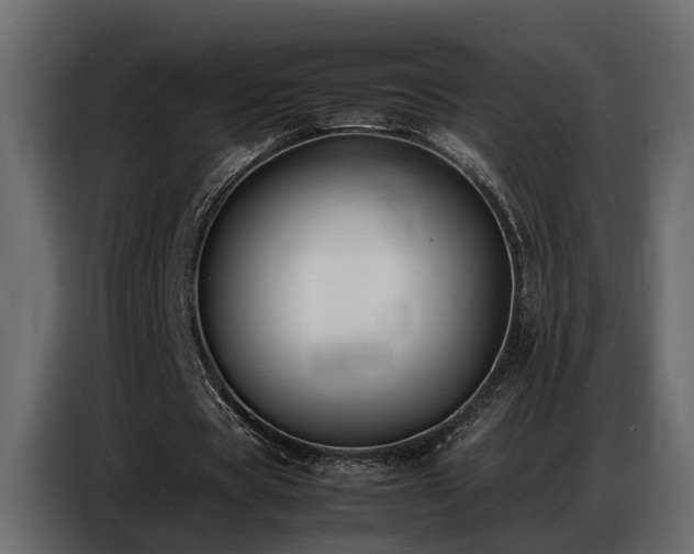 X0000087750529200705071115
