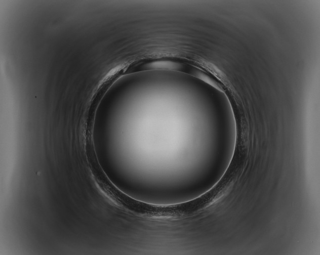 X0000087750530200705071115
