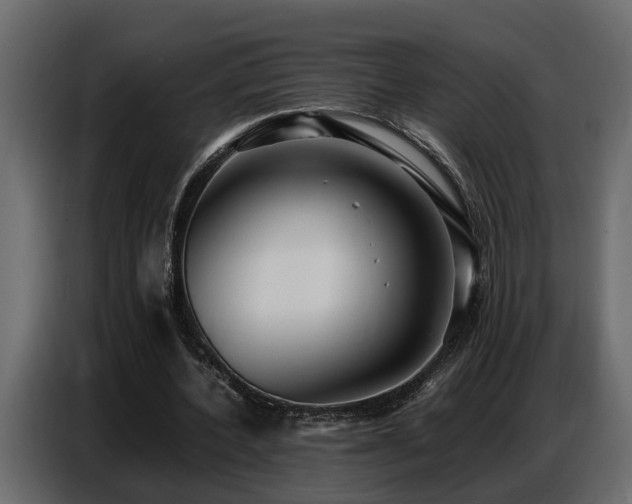X0000087750532200705071115