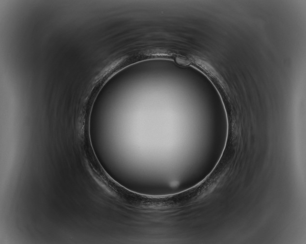 X0000087750533200705071115