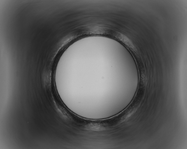 X0000087750534200705071115