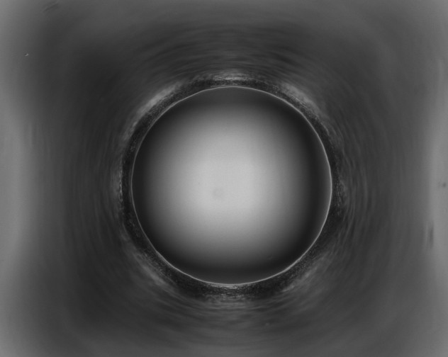 X0000087750535200705071115