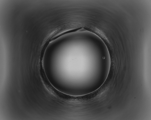X0000087750538200705071115