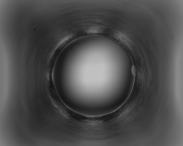X0000087750539200705071115