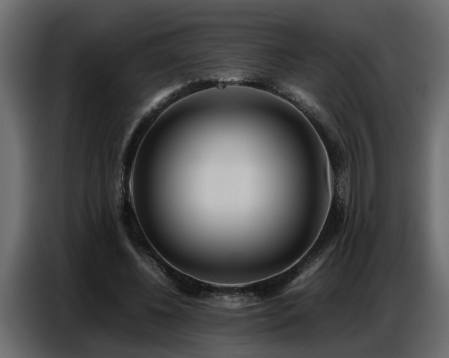 X0000087750540200705071115