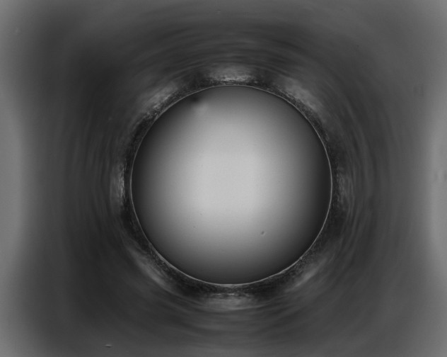 X0000087750541200705071115