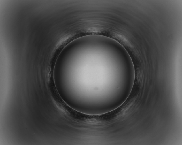 X0000087750544200705071115