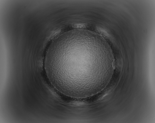 X0000087750545200705071115