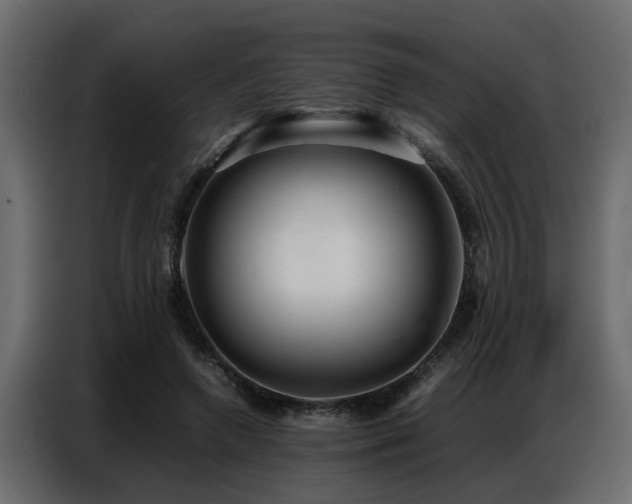 X0000087750546200705071115