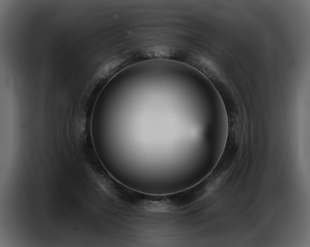 X0000087750548200705071115