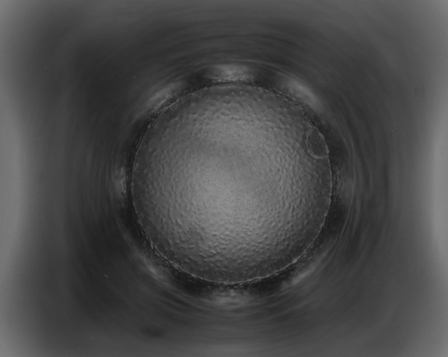 X0000087750549200705071115