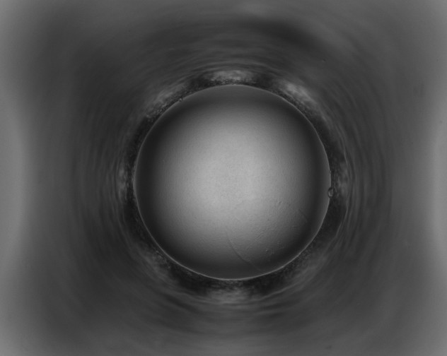 X0000087750551200705071115