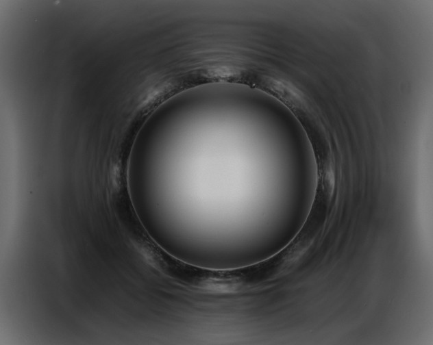 X0000087750556200705071115