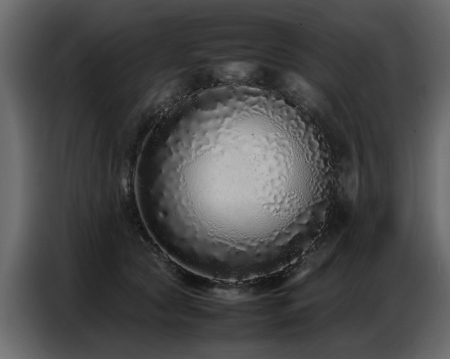 X0000087750561200705071115