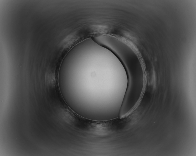 X0000087750564200705071115