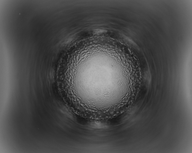 X0000087750565200705071115