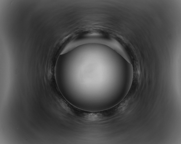 X0000087750566200705071115