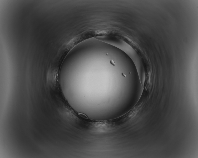 X0000087750574200705071115