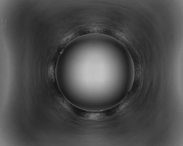 X0000087750575200705071115