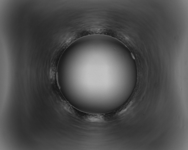 X0000087750576200705071115