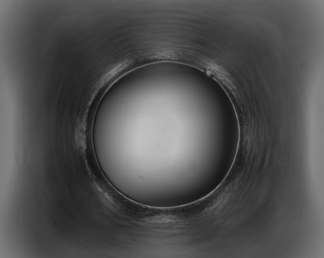X0000087750578200705071115