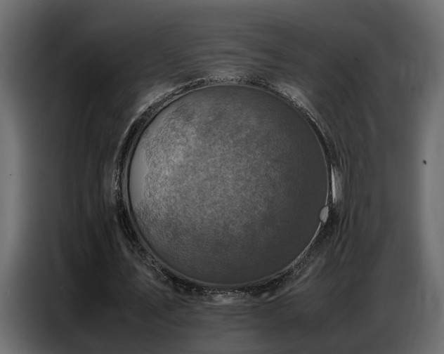 X0000087750579200705071115