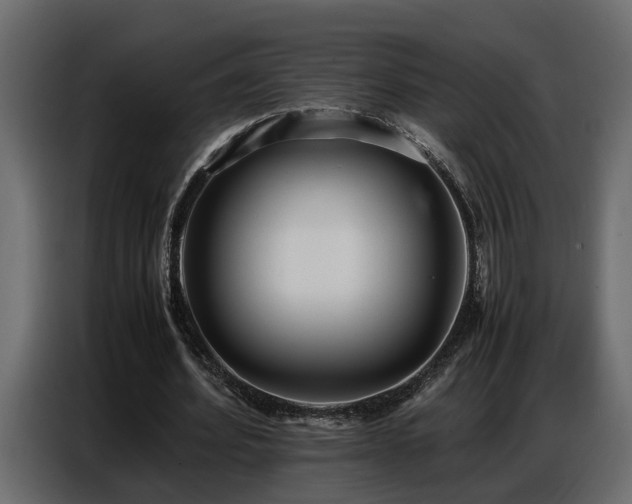 X0000087750580200705071115
