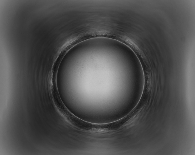 X0000087750582200705071115