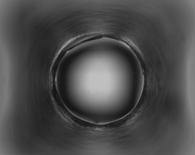 X0000087750584200705071115