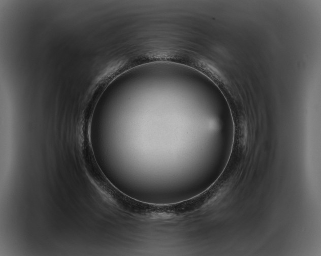 X0000087750586200705071115