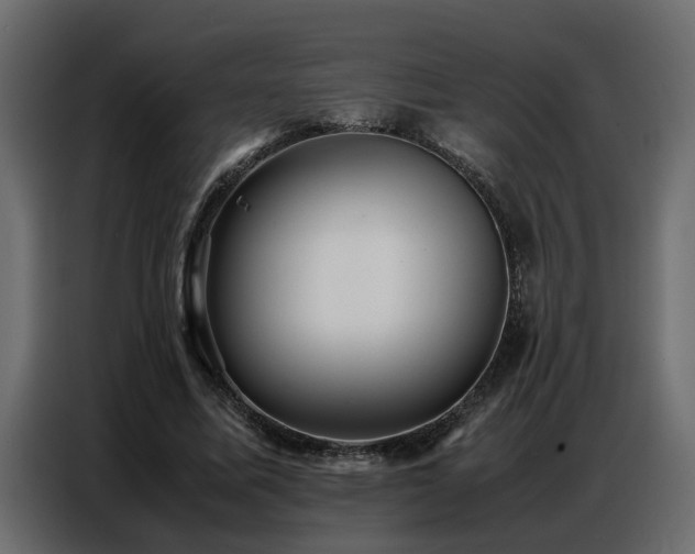 X0000087750587200705071115