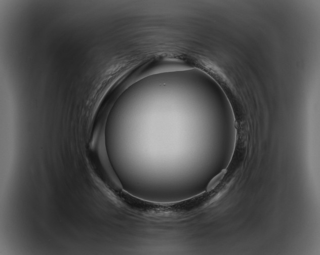 X0000087750589200705071115