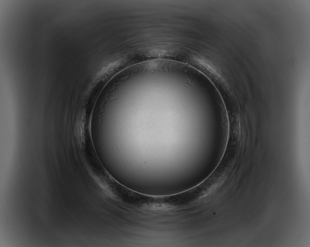 X0000087750590200705071115