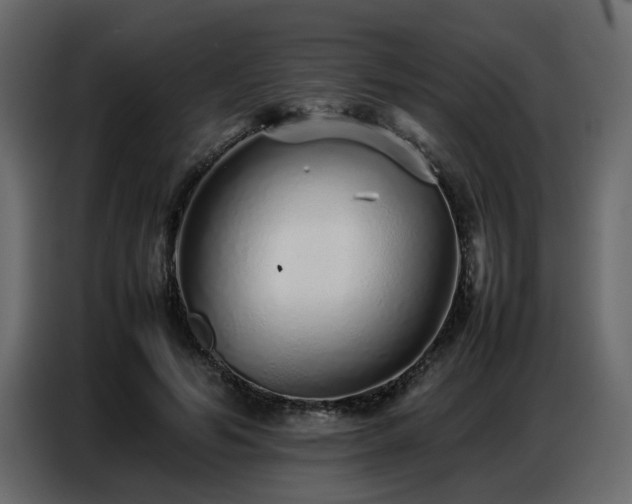 X0000087750594200705071115