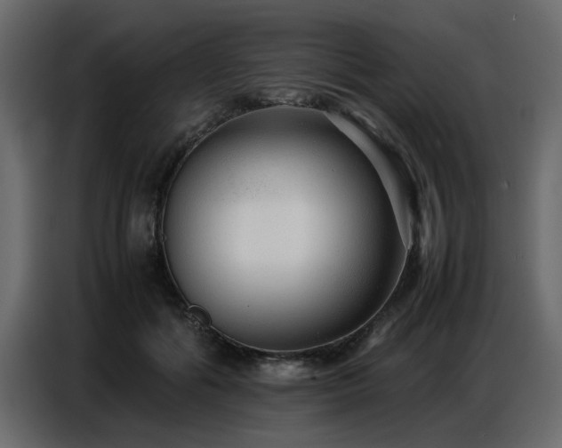 X0000087750602200705071114
