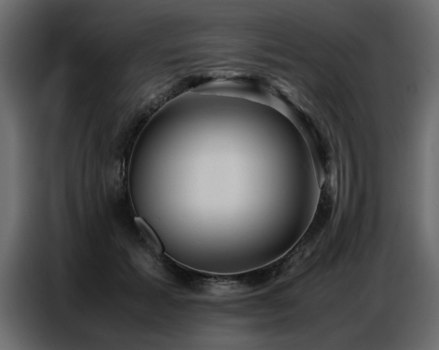 X0000087750605200705071114