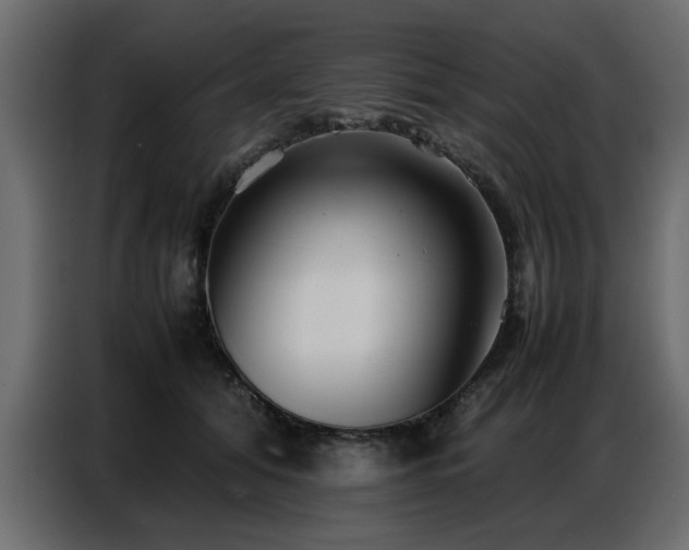 X0000087750608200705071114