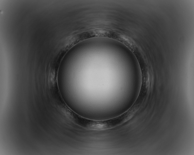 X0000087750610200705071114