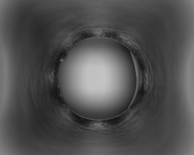 X0000087750611200705071114