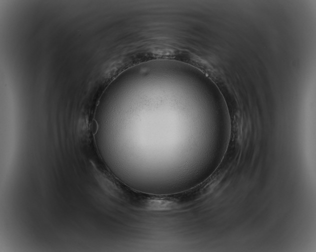 X0000087750614200705071114