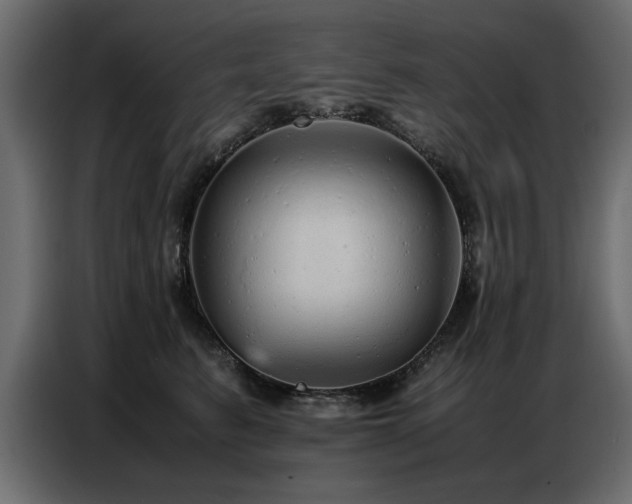X0000087750615200705071114