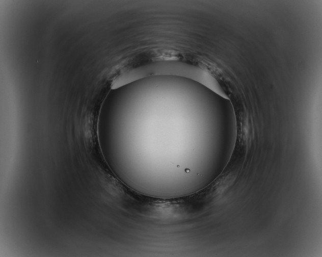 X0000087750616200705071114