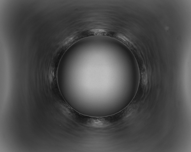 X0000087750618200705071114