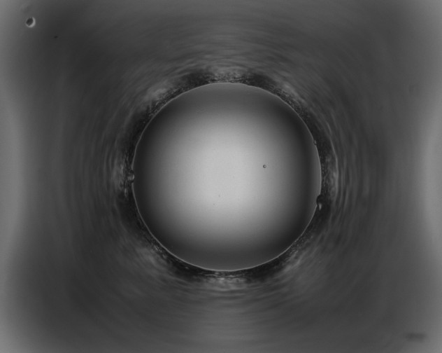 X0000087750619200705071114