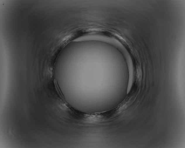X0000087750621200705071114