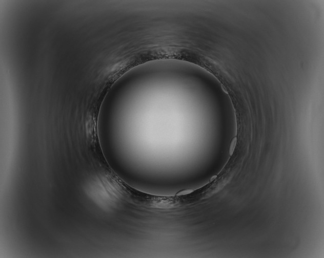 X0000087750624200705071114