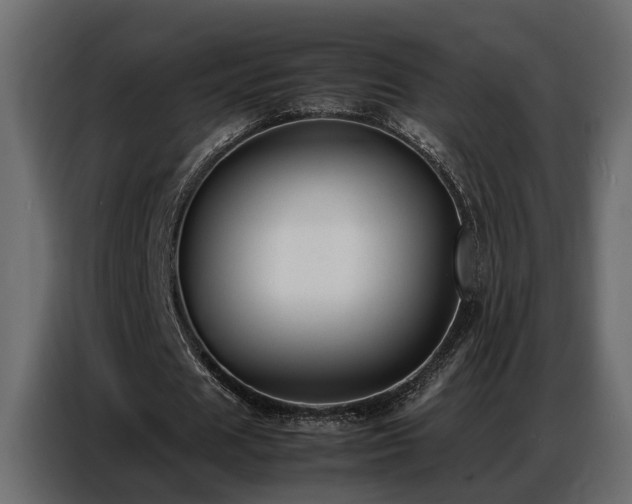 X0000087750625200705071114