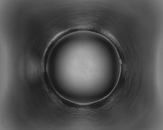 X0000087750628200705071114
